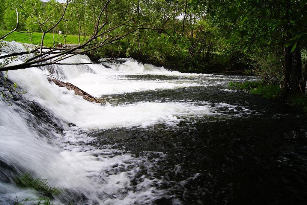 Affittacamere La Hoja De Roble Puebla de Sanabria Esterno foto